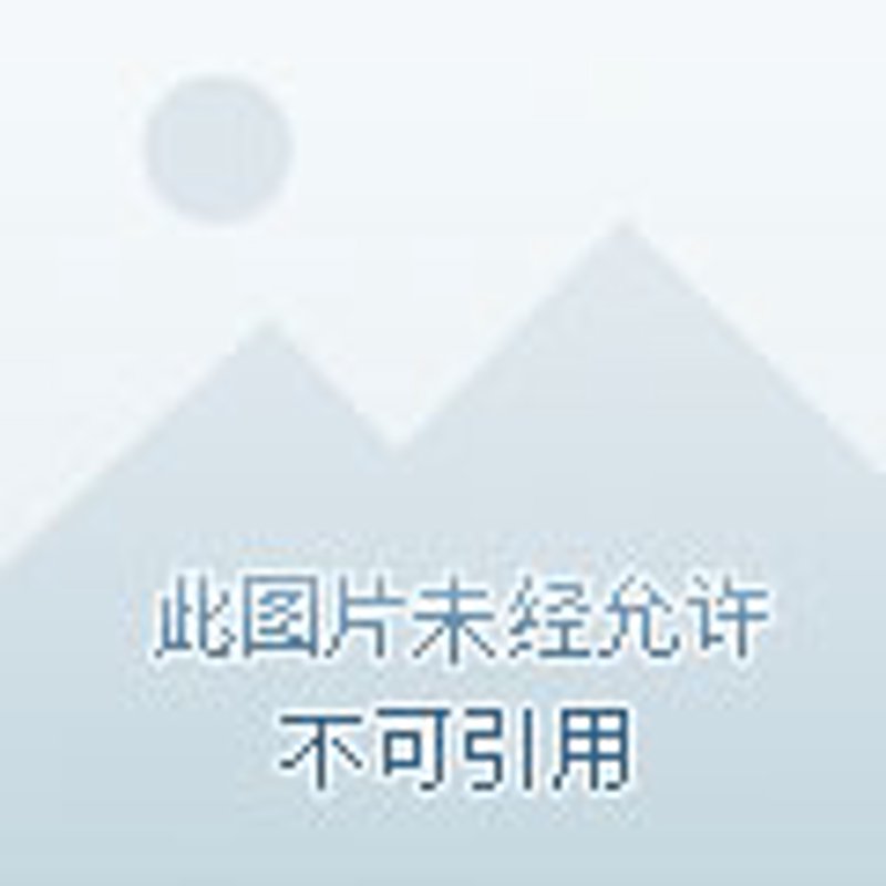 广州文化活动策划：城市创意的绽放